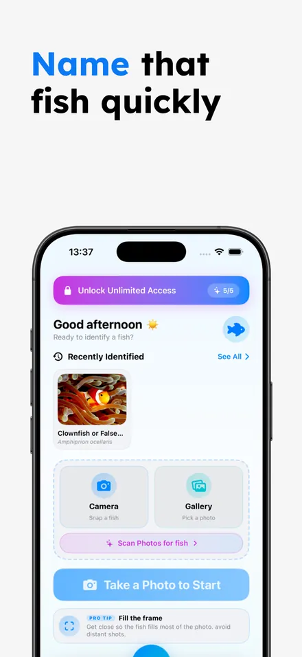 Fish Identifier AI: FishSnap screenshot 2