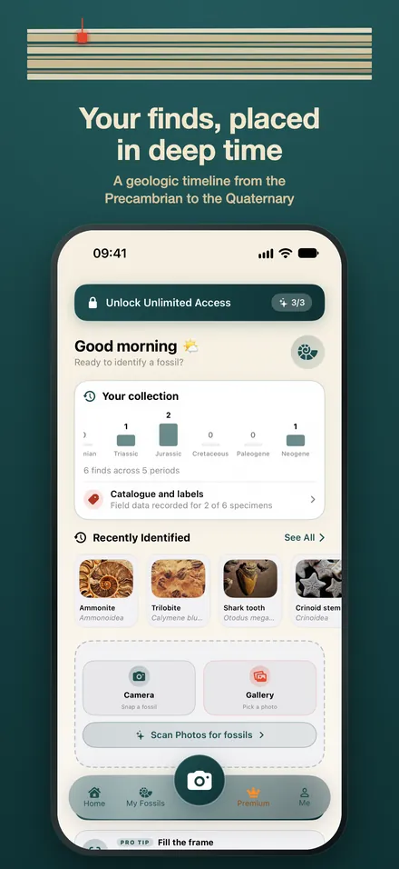 FossilSnap Fossil ID AI screenshot 1