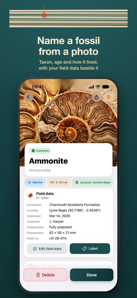 FossilSnap Fossil ID AI screenshot 2