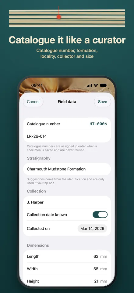 FossilSnap Fossil ID AI screenshot 3