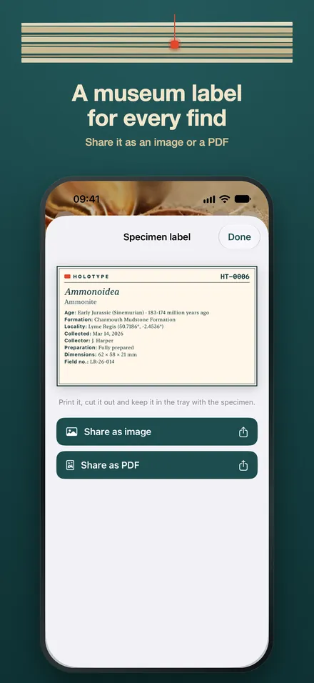 FossilSnap Fossil ID AI screenshot 4